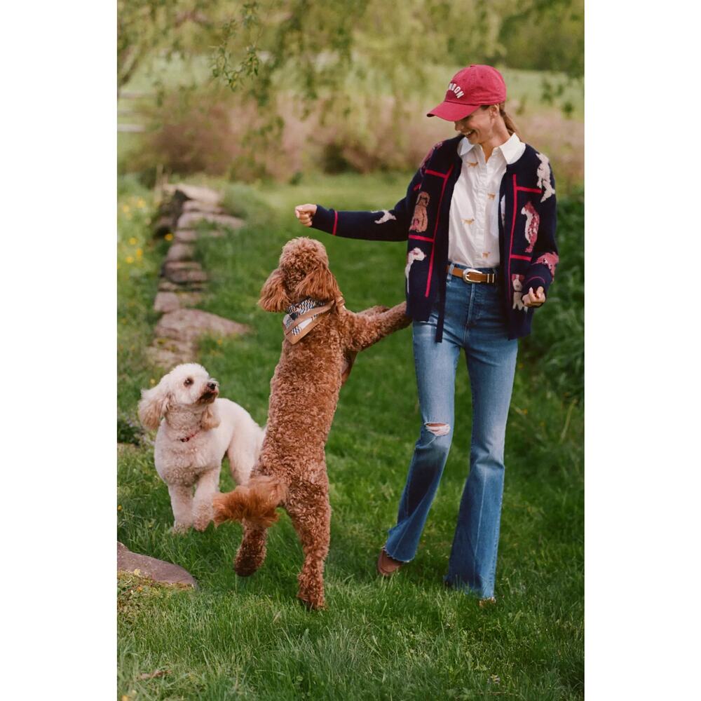 nwt ANTHROPOLOGIE MAEVE sz XL Bennet Shrunken in embroidered golden retrievers - Picture 4 of 5